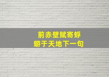 前赤壁赋寄蜉蝣于天地下一句