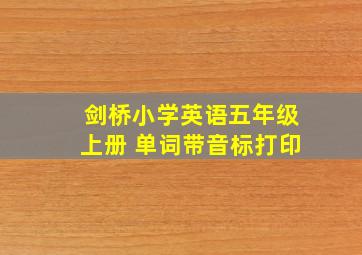 剑桥小学英语五年级上册 单词带音标打印