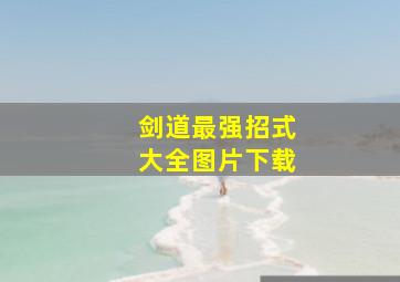 剑道最强招式大全图片下载