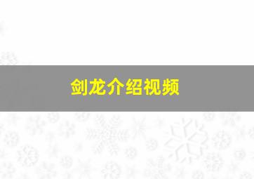 剑龙介绍视频