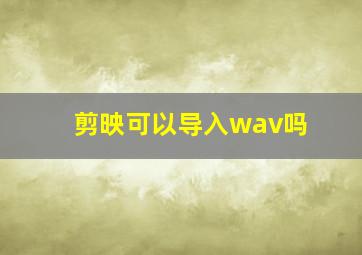 剪映可以导入wav吗