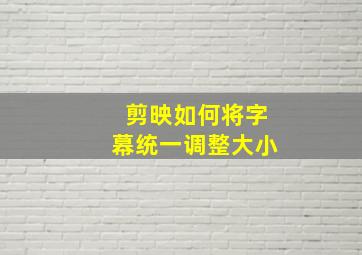 剪映如何将字幕统一调整大小