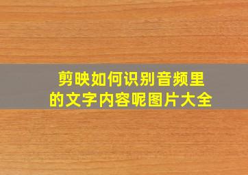 剪映如何识别音频里的文字内容呢图片大全