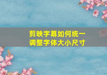 剪映字幕如何统一调整字体大小尺寸