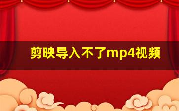 剪映导入不了mp4视频