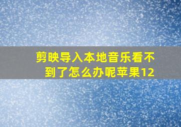 剪映导入本地音乐看不到了怎么办呢苹果12