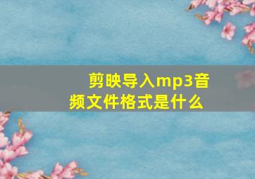 剪映导入mp3音频文件格式是什么