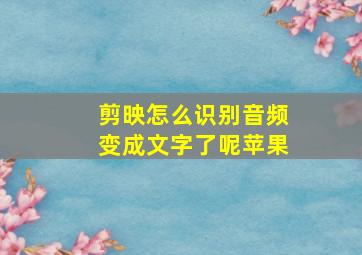 剪映怎么识别音频变成文字了呢苹果