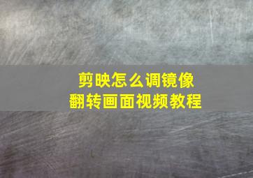 剪映怎么调镜像翻转画面视频教程