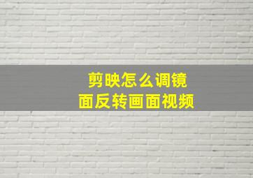 剪映怎么调镜面反转画面视频