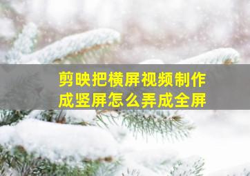 剪映把横屏视频制作成竖屏怎么弄成全屏