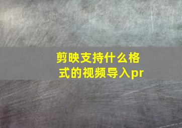 剪映支持什么格式的视频导入pr