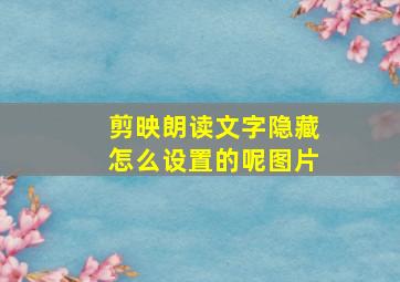 剪映朗读文字隐藏怎么设置的呢图片