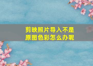 剪映照片导入不是原图色彩怎么办呢