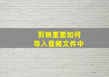 剪映里面如何导入音频文件中