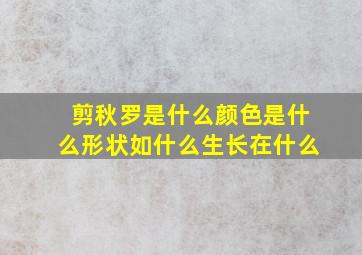 剪秋罗是什么颜色是什么形状如什么生长在什么