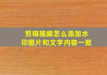 剪辑视频怎么添加水印图片和文字内容一致