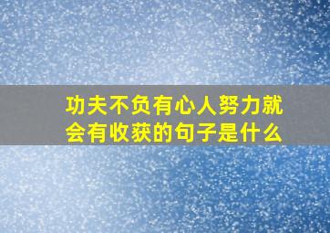 功夫不负有心人努力就会有收获的句子是什么