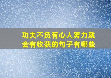 功夫不负有心人努力就会有收获的句子有哪些