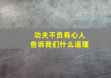 功夫不负有心人告诉我们什么道理