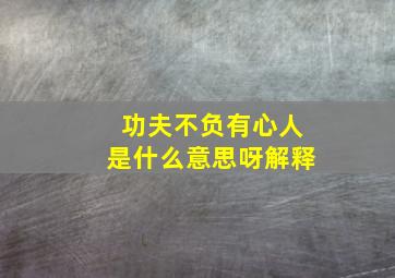 功夫不负有心人是什么意思呀解释