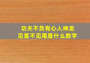 功夫不负有心人神龙见首不见尾是什么数字