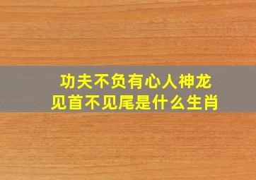 功夫不负有心人神龙见首不见尾是什么生肖