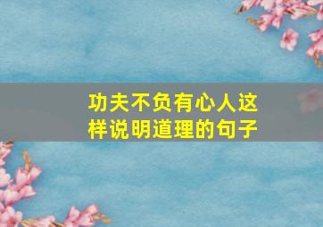 功夫不负有心人这样说明道理的句子