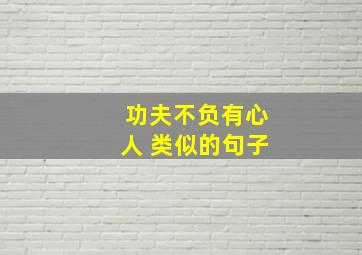 功夫不负有心人 类似的句子