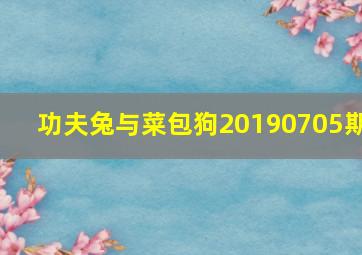 功夫兔与菜包狗20190705期