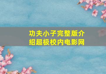 功夫小子完整版介绍超极校内电影网