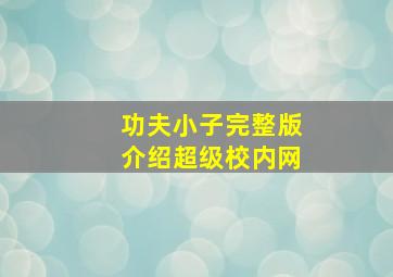 功夫小子完整版介绍超级校内网