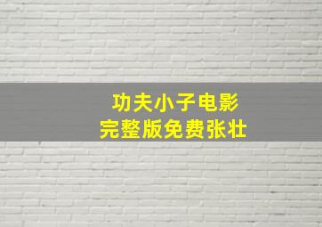 功夫小子电影完整版免费张壮