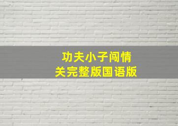 功夫小子闯情关完整版国语版