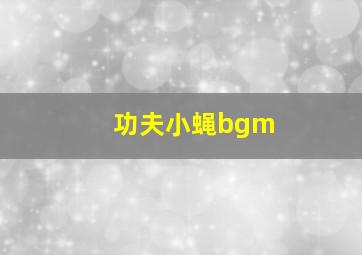 功夫小蝇bgm