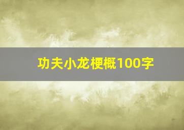 功夫小龙梗概100字