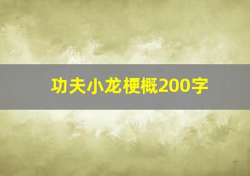 功夫小龙梗概200字