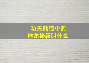 功夫熊猫中的神龙秘籍叫什么