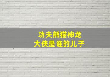 功夫熊猫神龙大侠是谁的儿子