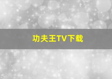 功夫王TV下载