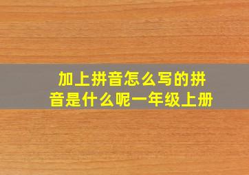 加上拼音怎么写的拼音是什么呢一年级上册