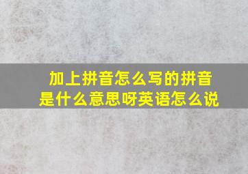 加上拼音怎么写的拼音是什么意思呀英语怎么说