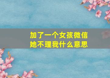 加了一个女孩微信她不理我什么意思