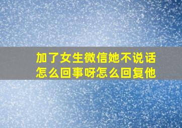 加了女生微信她不说话怎么回事呀怎么回复他