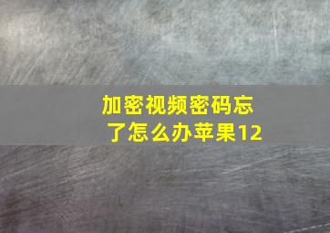 加密视频密码忘了怎么办苹果12