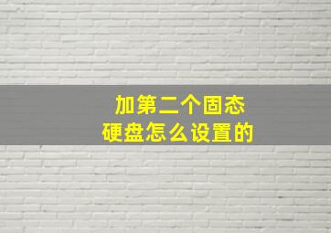 加第二个固态硬盘怎么设置的