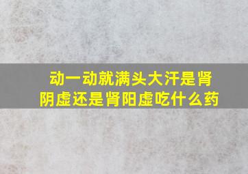 动一动就满头大汗是肾阴虚还是肾阳虚吃什么药