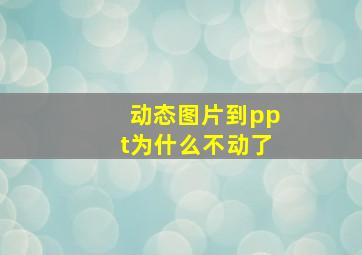 动态图片到ppt为什么不动了