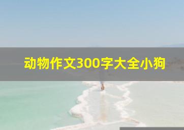 动物作文300字大全小狗