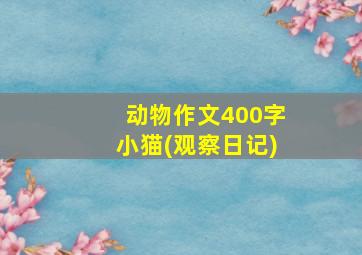 动物作文400字小猫(观察日记)